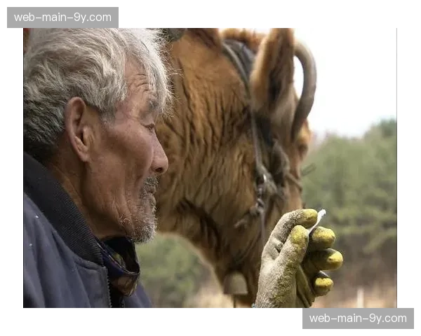 纪录片《胜利之重:2022阿根廷世界杯征程》全球上线